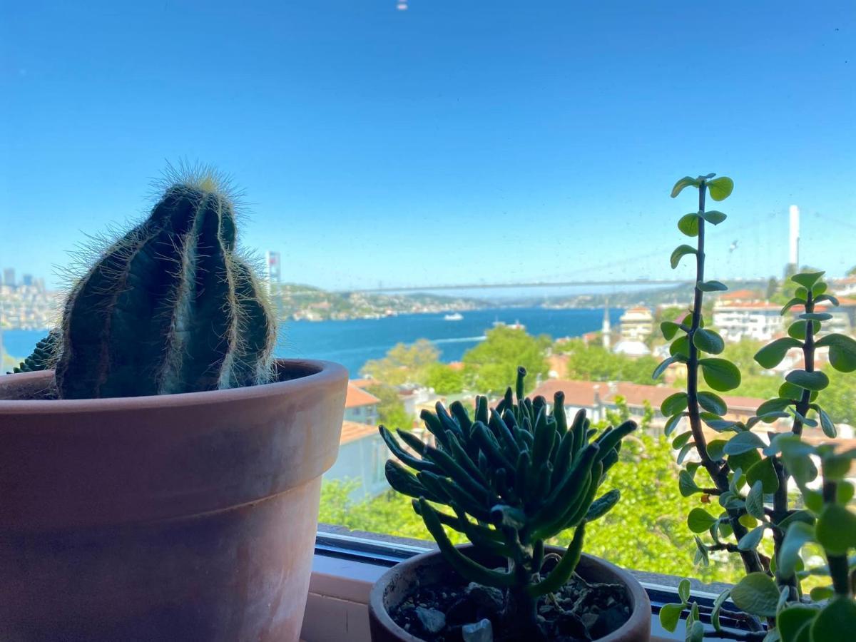 Appartement Delightful With Backyard And Bosphorus View In Uskudar *